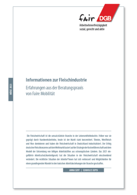 Faire Mobilität Fleischdossier