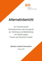 Cover Alternativbericht Instanbul-Konvention